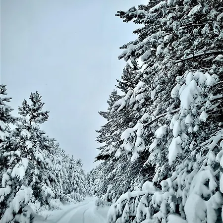 Vikendica Leko Rudo Polje