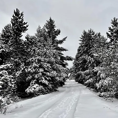 Vikendica Leko 別荘 *